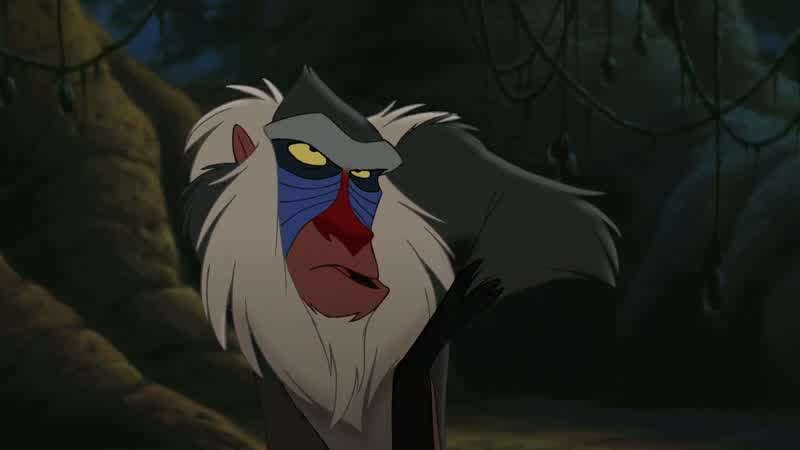 Oh Mufasa you been up there too long Your head is in the clouds