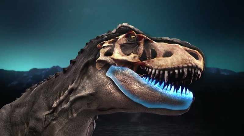 YOU'VE GOT THE DENTERIES, WHICH ARE THE LOWER JAWS