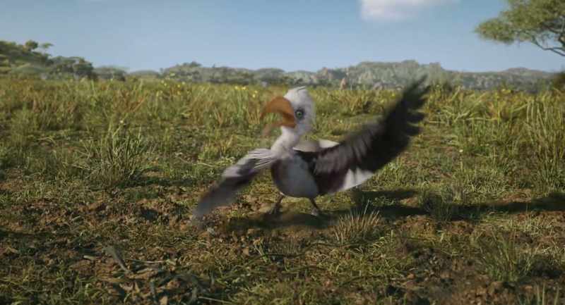 You've messed with the wrong hornbill!
