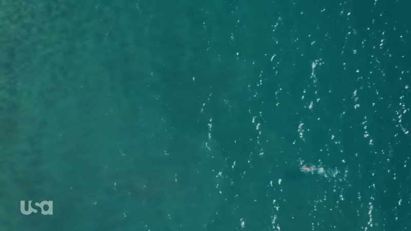 Yul is swimming for his life