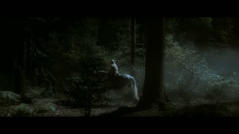 TristanPlease protect our sister TristanYvaine is in grave dangerThe unicorn came to help herBut now they're heading into a trapNo star is safe in StormholdThe last to fall 400 years agowas captured