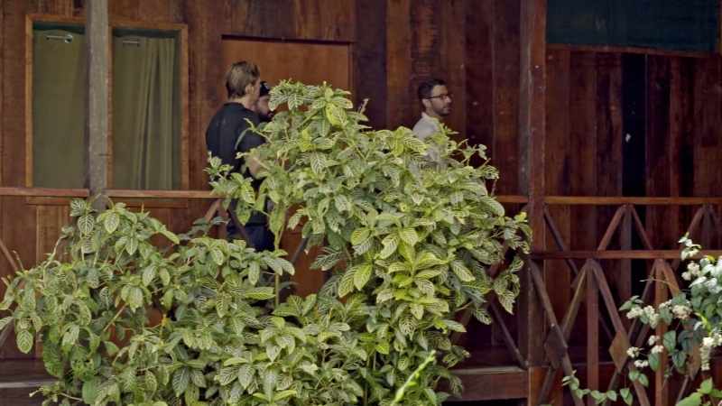 [Zac] Ayahuasca tourism is a huge thing