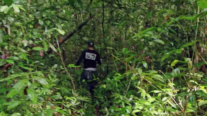 [Zac] I feel like Jumanji
