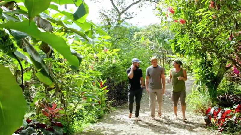 [Zac] Those are all perennials? -So breadfruit is like a potato