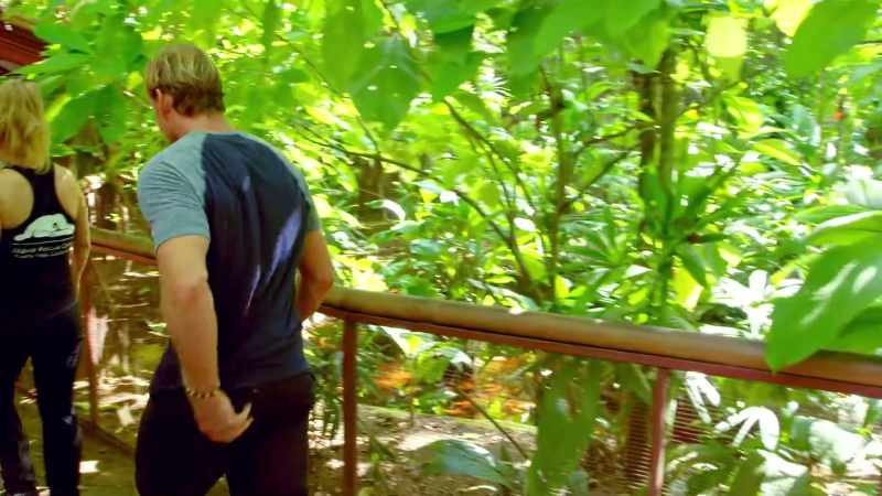 [Zac] Walking through here, you can't help but feel bad for all the animals