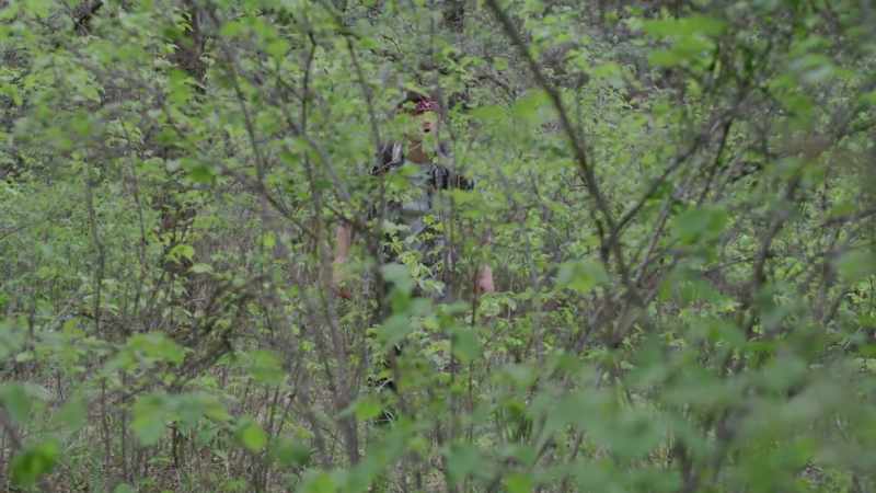 Zach, you're just being paranoid. It's a bird