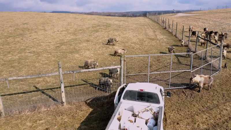 Zack: Yeah, let me get away from these gates