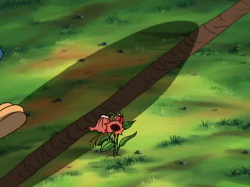 Zeb: RACE TO THAT THERE PINEY TREE AND BACK