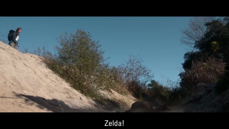 Zelda!
