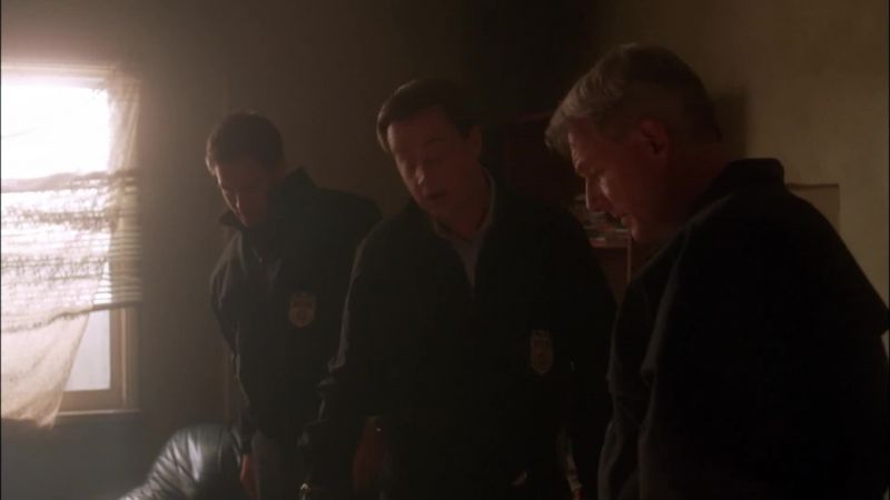 Ziva, pick it