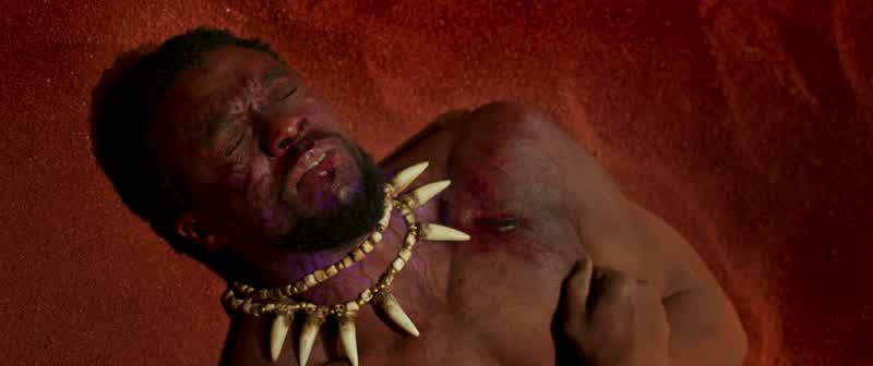 T'Chaka