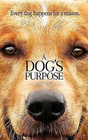 A Dog's Purpose