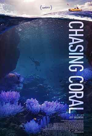 Chasing Coral