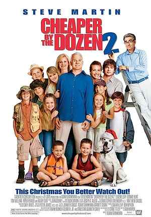 Cheaper by the Dozen 2