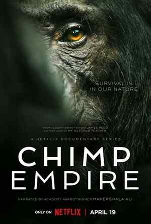 Chimp Empire