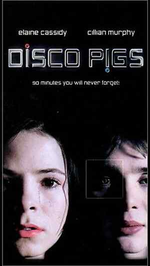 Disco Pigs