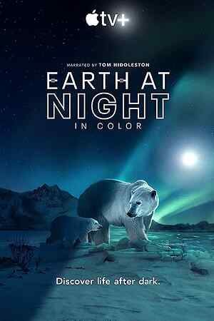 Earth at Night in Color