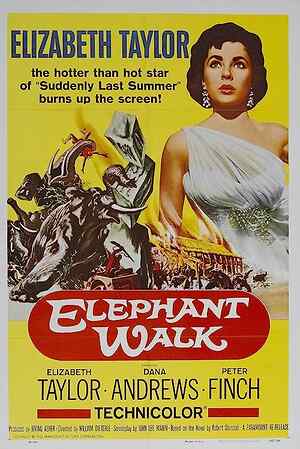 Elephant Walk
