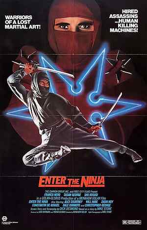 Enter the Ninja