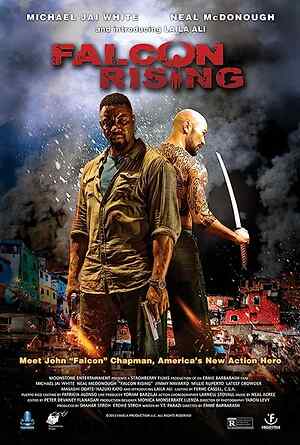 Falcon Rising