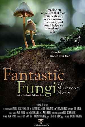Fantastic Fungi