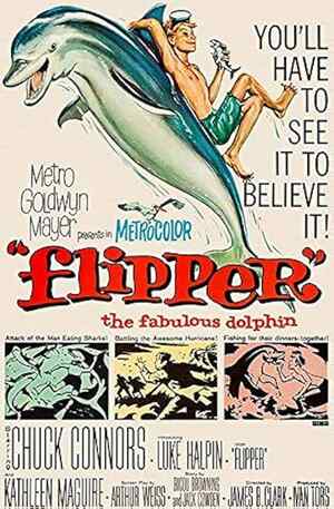 Flipper