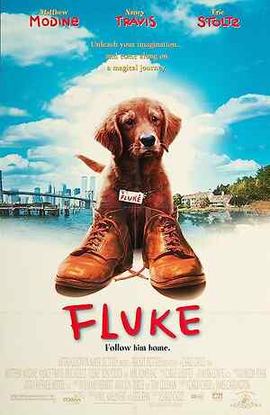 Fluke