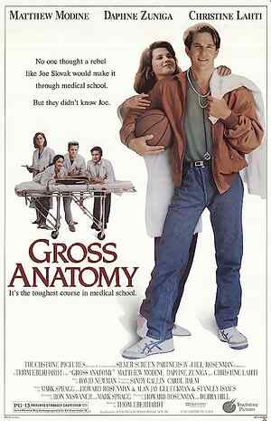 Gross Anatomy