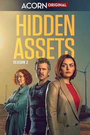 Hidden Assets