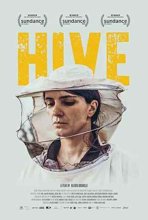 Hive