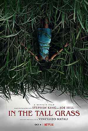 In the Tall Grass