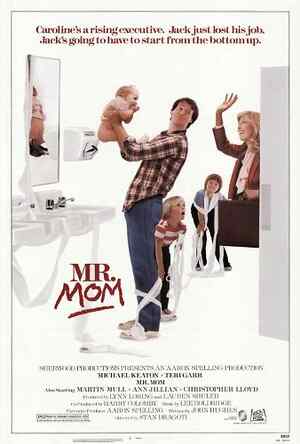 Mr  Mom