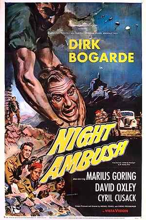 Night Ambush