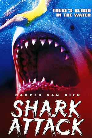 Shark Attack