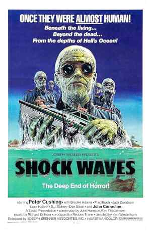Shock Waves