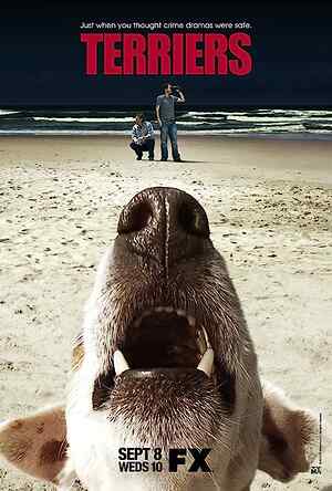 Terriers