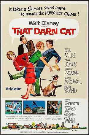 That Darn Cat!