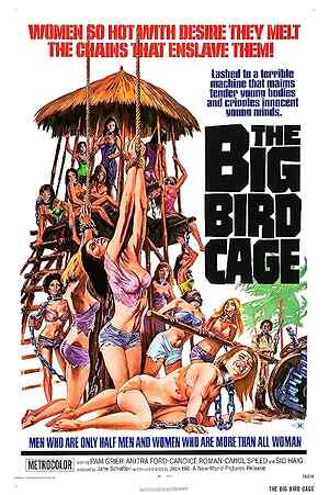 The Big Bird Cage