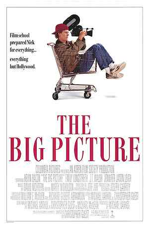 The Big Picture