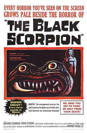 The Black Scorpion