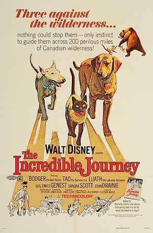 The Incredible Journey