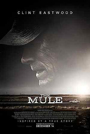 The Mule