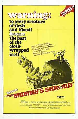 The Mummy's Shroud