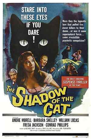 The Shadow of the Cat