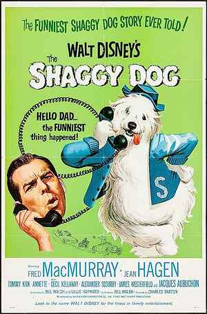 The Shaggy Dog