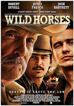 Wild Horses
