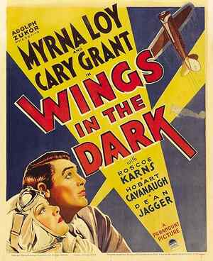 Wings in the Dark