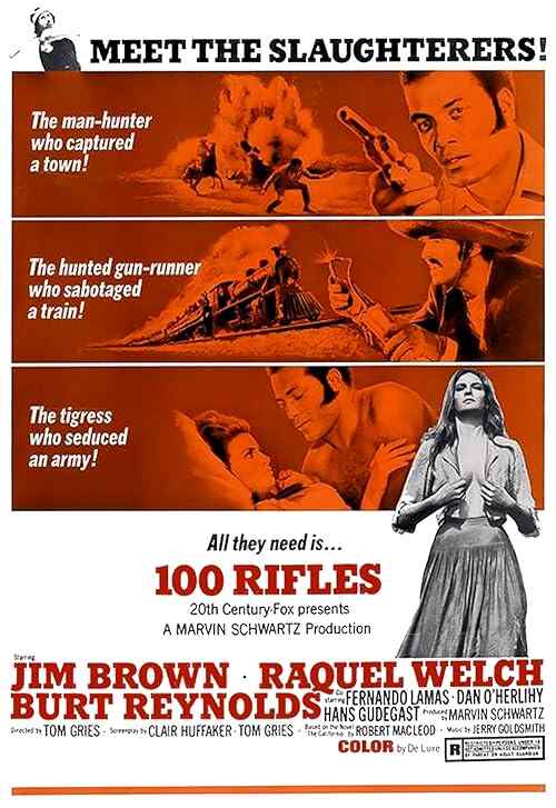 100 Rifles poster
