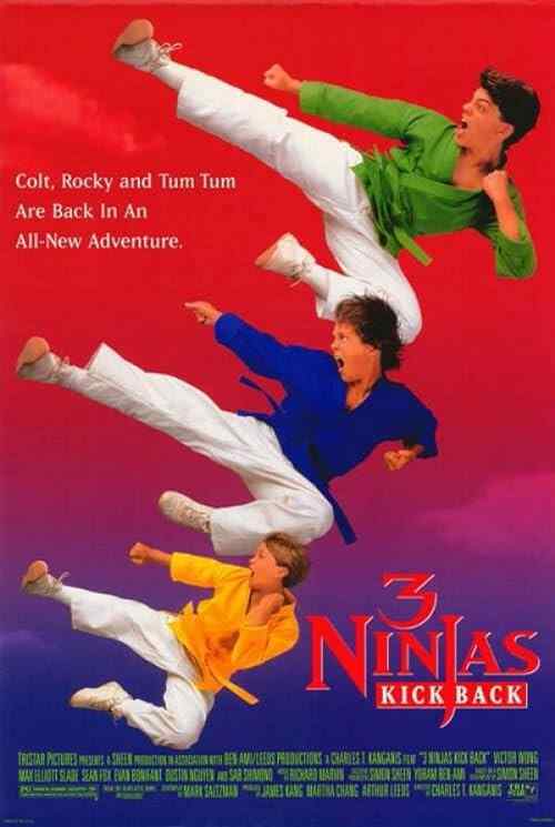 3 Ninjas Kick Back poster