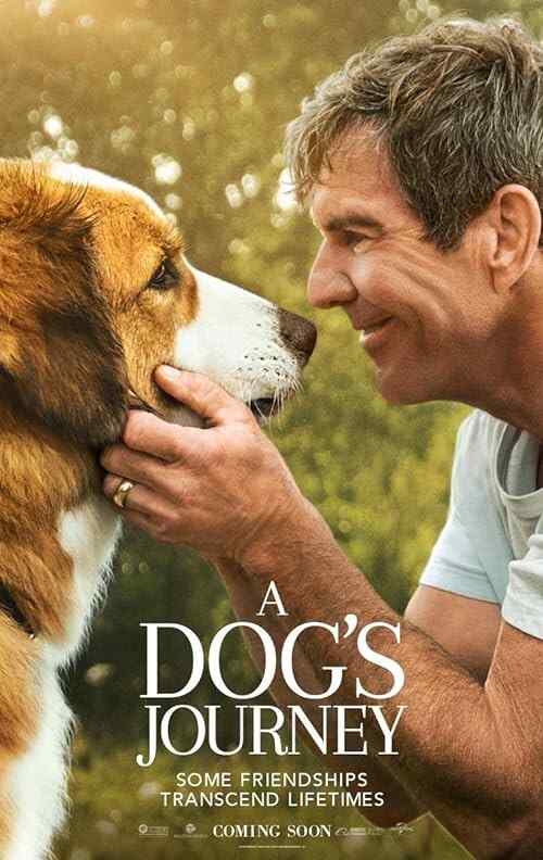 A Dog's Journey poster